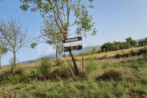 Tomt i Moimenta da Serra e Vinho, Guarda, Moimenta da Serra e Vinho - € 85 000 | Ref: SÒL_2542 - foto 2