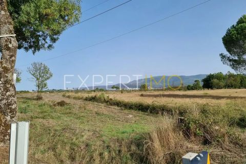 Tomt i Moimenta da Serra e Vinho, Guarda, Moimenta da Serra e Vinho - € 85 000 | Ref: SÒL_2542 - foto 3