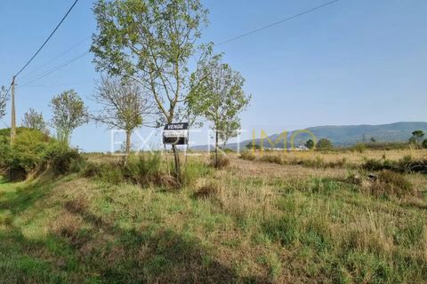 Tomt i Moimenta da Serra e Vinho, Guarda, Moimenta da Serra e Vinho - € 85 000 | Ref: SÒL_2542 - foto 4