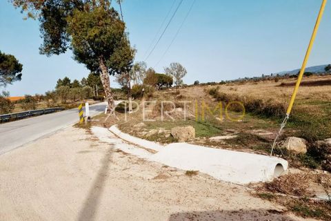 Tomt i Moimenta da Serra e Vinho, Guarda, Moimenta da Serra e Vinho - € 85 000 | Ref: SÒL_2542 - foto 5