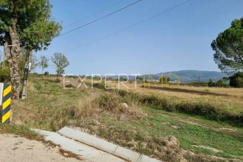 Tomt i Moimenta da Serra e Vinho, Guarda, Moimenta da Serra e Vinho - € 85 000 | Ref: SÒL_2542 - foto 6