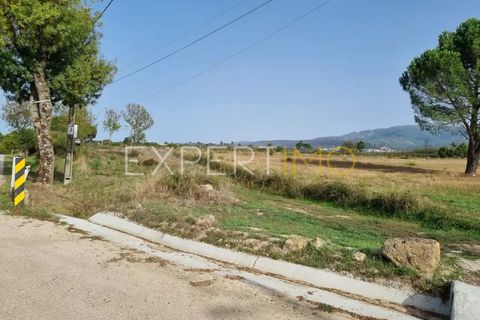 Tomt i Moimenta da Serra e Vinho, Guarda, Moimenta da Serra e Vinho - € 85 000 | Ref: SÒL_2542 - foto 7