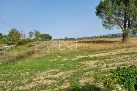 Tomt i Moimenta da Serra e Vinho, Guarda, Moimenta da Serra e Vinho - € 85 000 | Ref: SÒL_2542 - foto 8