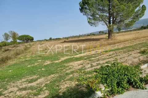 Tomt i Moimenta da Serra e Vinho, Guarda, Moimenta da Serra e Vinho - € 85 000 | Ref: SÒL_2542 - foto 9