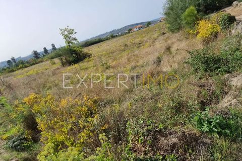 Tomt i Moimenta da Serra e Vinho, Guarda, Moimenta da Serra e Vinho - € 85 000 | Ref: SÒL_2542 - foto 10