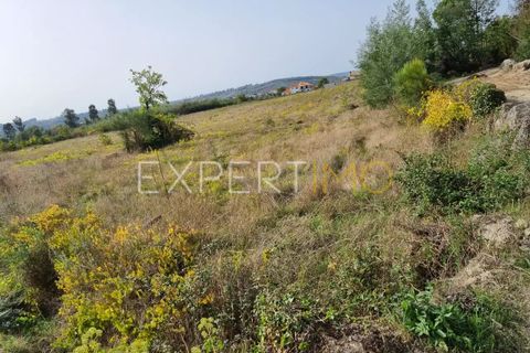 Tomt i Moimenta da Serra e Vinho, Guarda, Moimenta da Serra e Vinho - € 85 000 | Ref: SÒL_2542 - foto 11