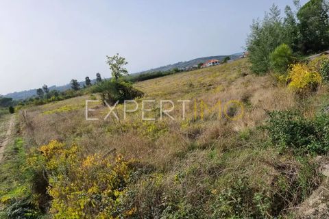 Tomt i Moimenta da Serra e Vinho, Guarda, Moimenta da Serra e Vinho - € 85 000 | Ref: SÒL_2542 - foto 12