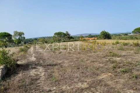Tomt i Moimenta da Serra e Vinho, Guarda, Moimenta da Serra e Vinho - € 85 000 | Ref: SÒL_2542 - foto 13