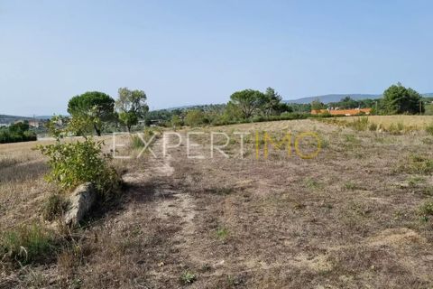 Tomt i Moimenta da Serra e Vinho, Guarda, Moimenta da Serra e Vinho - € 85 000 | Ref: SÒL_2542 - foto 14