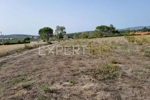 Tomt i Moimenta da Serra e Vinho, Guarda, Moimenta da Serra e Vinho - € 85 000 | Ref: SÒL_2542 - foto 15