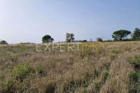 Tomt i Moimenta da Serra e Vinho, Guarda, Moimenta da Serra e Vinho - € 85 000 | Ref: SÒL_2542 - foto 16