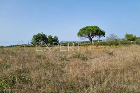 Tomt i Moimenta da Serra e Vinho, Guarda, Moimenta da Serra e Vinho - € 85 000 | Ref: SÒL_2542 - foto 17