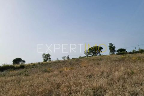 Tomt i Moimenta da Serra e Vinho, Guarda, Moimenta da Serra e Vinho - € 85 000 | Ref: SÒL_2542 - foto 18