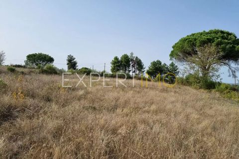 Tomt i Moimenta da Serra e Vinho, Guarda, Moimenta da Serra e Vinho - € 85 000 | Ref: SÒL_2542 - foto 19