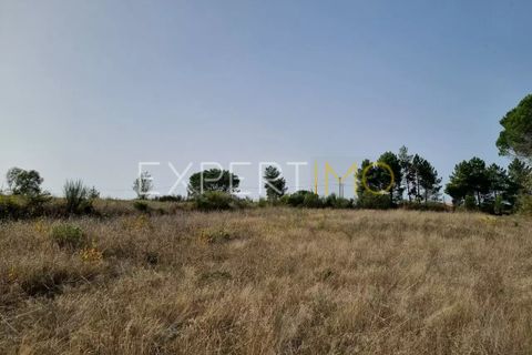 Tomt i Moimenta da Serra e Vinho, Guarda, Moimenta da Serra e Vinho - € 85 000 | Ref: SÒL_2542 - foto 20