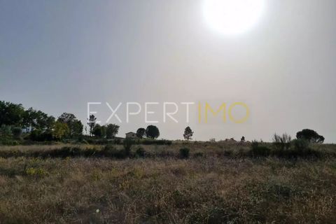 Tomt i Moimenta da Serra e Vinho, Guarda, Moimenta da Serra e Vinho - € 85 000 | Ref: SÒL_2542 - foto 21
