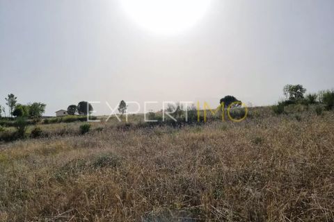 Tomt i Moimenta da Serra e Vinho, Guarda, Moimenta da Serra e Vinho - € 85 000 | Ref: SÒL_2542 - foto 22