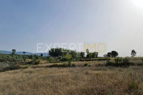 Tomt i Moimenta da Serra e Vinho, Guarda, Moimenta da Serra e Vinho - € 85 000 | Ref: SÒL_2542 - foto 23