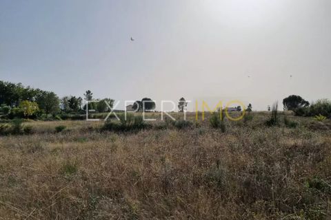 Tomt i Moimenta da Serra e Vinho, Guarda, Moimenta da Serra e Vinho - € 85 000 | Ref: SÒL_2542 - foto 24