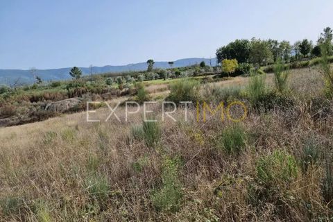 Tomt i Moimenta da Serra e Vinho, Guarda, Moimenta da Serra e Vinho - € 85 000 | Ref: SÒL_2542 - foto 25