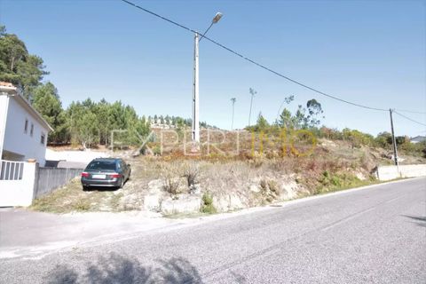 Terra a Gondemaria e Olival, Santarem, Gondemaria e Olival - € 40.000 | Ref: SV20003 - foto 2