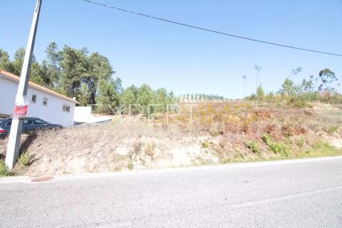 Terra a Gondemaria e Olival, Santarem, Gondemaria e Olival - € 40.000 | Ref: SV20003 - foto 3