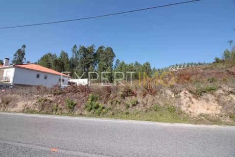 Terra a Gondemaria e Olival, Santarem, Gondemaria e Olival - € 40.000 | Ref: SV20003 - foto 4