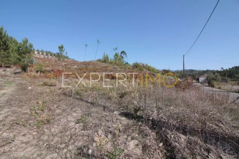 Terra a Gondemaria e Olival, Santarem, Gondemaria e Olival - € 40.000 | Ref: SV20003 - foto 5