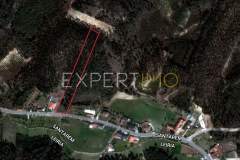 Terra a Gondemaria e Olival, Santarem, Gondemaria e Olival - € 40.000 | Ref: SV20003 - foto 6