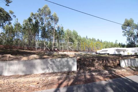 Helårsgrund i Matas e Cercal, Santarem, Matas e Cercal - € 20.000 | Ref: SV20004 - foto 2