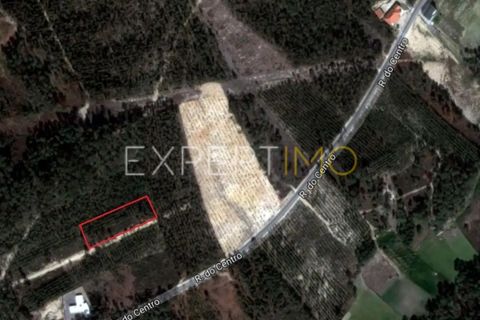 Helårsgrund i Matas e Cercal, Santarem, Matas e Cercal - € 18.000 | Ref: SV20005 - foto 1