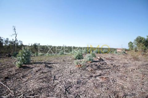 Helårsgrund i Leiria, Leiria, Leiria - € 3.500.000 | Ref: SV22022 - foto 3