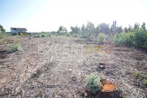 Helårsgrund i Leiria, Leiria, Leiria - € 3.500.000 | Ref: SV22022 - foto 5