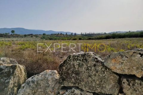 Helårsgrund i Moimenta da Serra e Vinho, Guarda, Moimenta da Serra e Vinho - € 25.000 | Ref: TER_2543 - foto 2