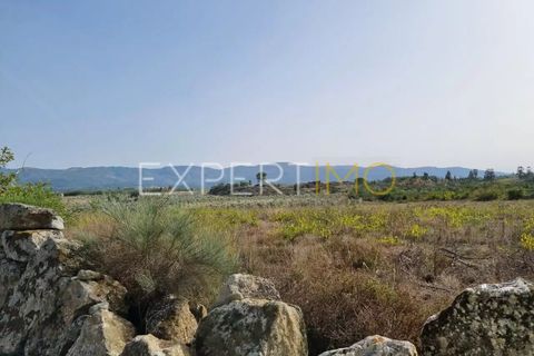 Helårsgrund i Moimenta da Serra e Vinho, Guarda, Moimenta da Serra e Vinho - € 25.000 | Ref: TER_2543 - foto 3