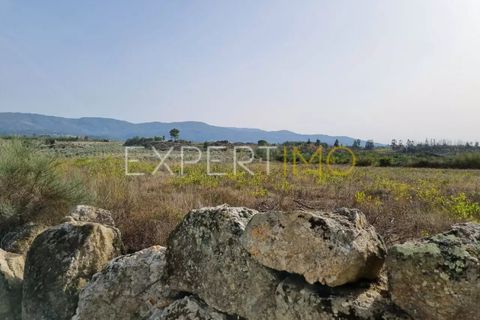 Helårsgrund i Moimenta da Serra e Vinho, Guarda, Moimenta da Serra e Vinho - € 25.000 | Ref: TER_2543 - foto 4