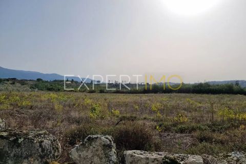 Helårsgrund i Moimenta da Serra e Vinho, Guarda, Moimenta da Serra e Vinho - € 25.000 | Ref: TER_2543 - foto 5