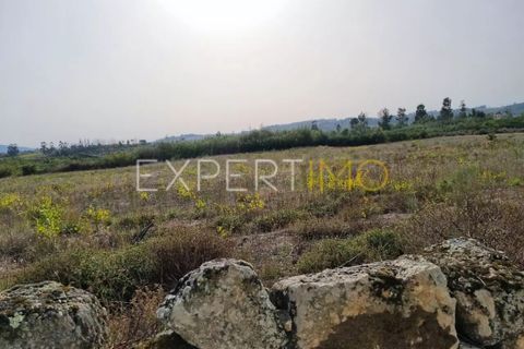 Helårsgrund i Moimenta da Serra e Vinho, Guarda, Moimenta da Serra e Vinho - € 25.000 | Ref: TER_2543 - foto 7