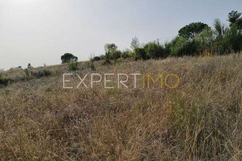 Helårsgrund i Moimenta da Serra e Vinho, Guarda, Moimenta da Serra e Vinho - € 25.000 | Ref: TER_2543 - foto 8