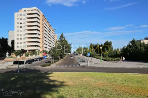 Helårsgrund i Lisbon, Lisbon, Lisbon - € 8.064.000 | Ref: TG-PC-101 - foto 14