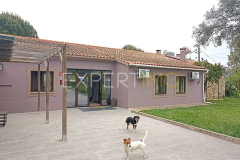 Villa - Caria, Castelo Branco, Caria - € 600 000 | Réf : CAS_4530 - photo 2