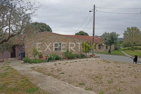 Villa - Caria, Castelo Branco, Caria - € 600 000 | Réf : CAS_4530 - photo 4