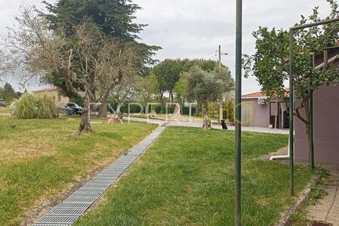 Villa - Caria, Castelo Branco, Caria - € 600 000 | Réf : CAS_4530 - photo 6