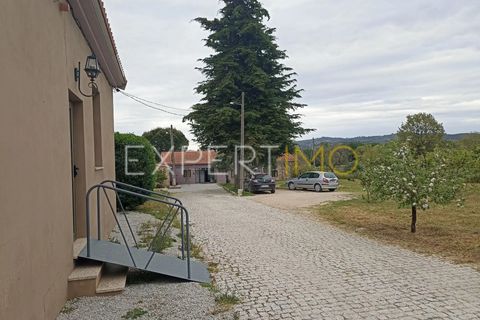 Villa - Caria, Castelo Branco, Caria - € 600 000 | Réf : CAS_4530 - photo 12