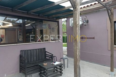 Villa - Caria, Castelo Branco, Caria - € 600 000 | Réf : CAS_4530 - photo 15