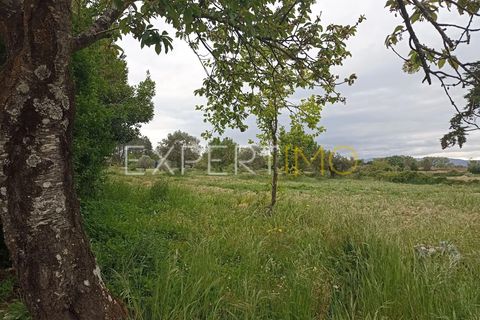 Villa - Caria, Castelo Branco, Caria - € 600 000 | Réf : CAS_4530 - photo 18