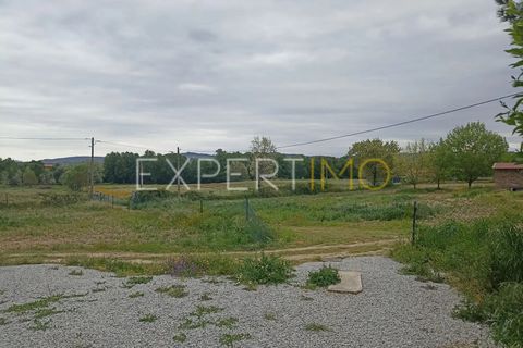 Villa - Caria, Castelo Branco, Caria - € 600 000 | Réf : CAS_4530 - photo 21
