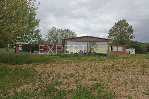 Villa - Caria, Castelo Branco, Caria - € 600 000 | Réf : CAS_4530 - photo 23