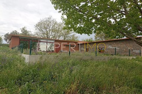 Villa - Caria, Castelo Branco, Caria - € 600 000 | Réf : CAS_4530 - photo 25
