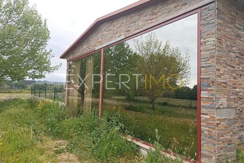 Villa - Caria, Castelo Branco, Caria - € 600 000 | Réf : CAS_4530 - photo 26
